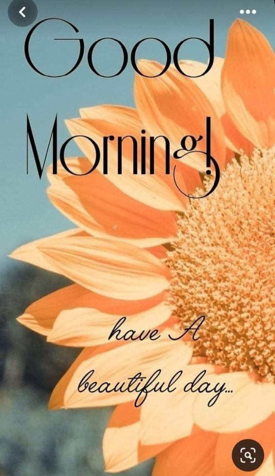 good morning happy tuesday dog images good morning happy tuesday dog images