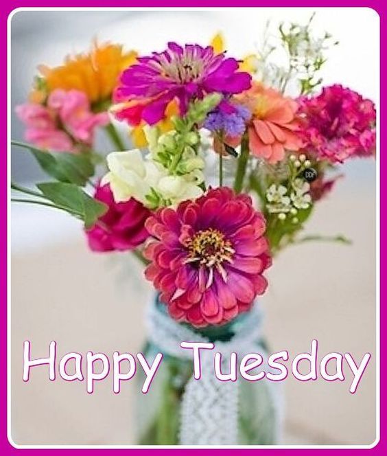 good morning happy tuesday god bless you images good morning happy tuesday god bless you images