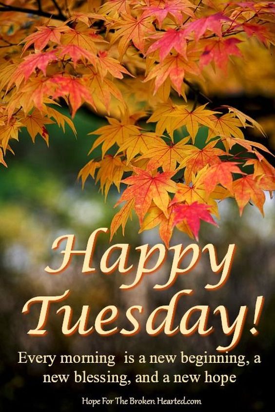 good morning happy tuesday images and quotes good morning happy tuesday images and quotes