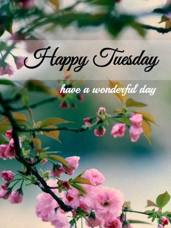 good morning happy tuesday images gif good morning happy tuesday images gif