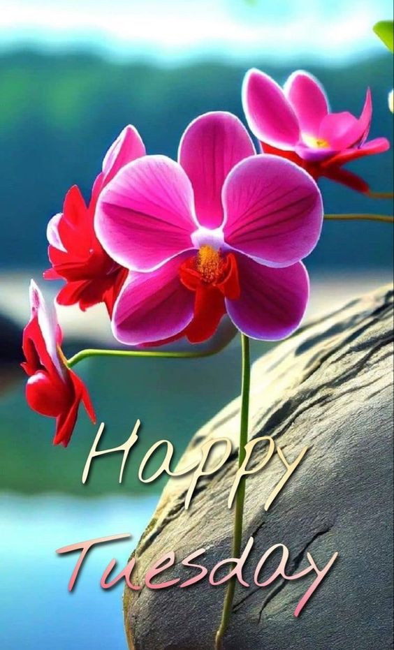 happy birthday quotes and images for her happy birthday quotes and images for her
