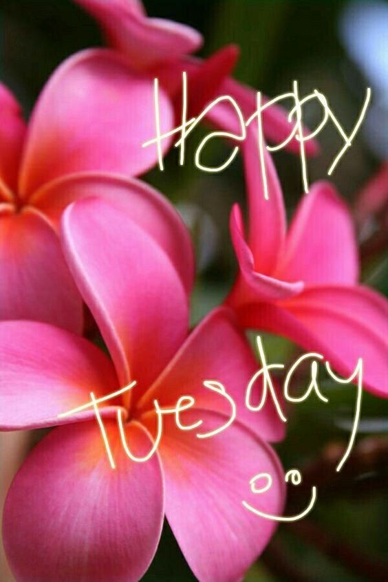 happy birthday quotes and images for him happy birthday quotes and images for him