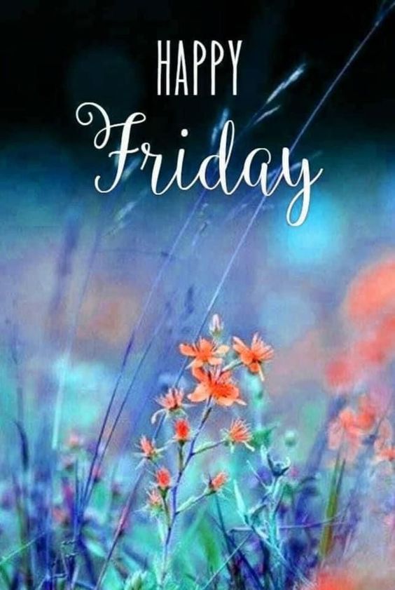 happy happy tuesday images happy happy tuesday images
