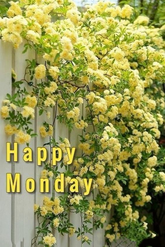 happy monday blessings quotes and images happy monday blessings quotes and images