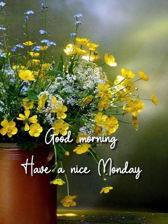 happy monday cartoon images funny happy monday cartoon images funny