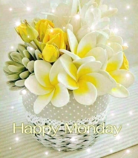 happy monday images and quotes funny happy monday images and quotes funny