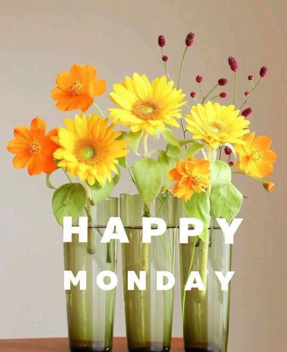 happy monday images beach happy monday images beach