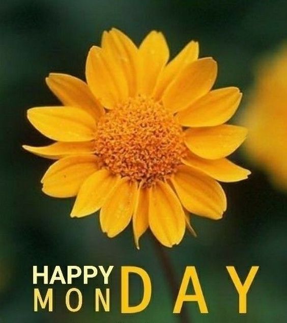 happy monday images cartoon happy monday images cartoon