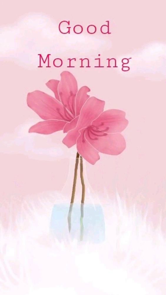 happy monday images funny happy monday images funny