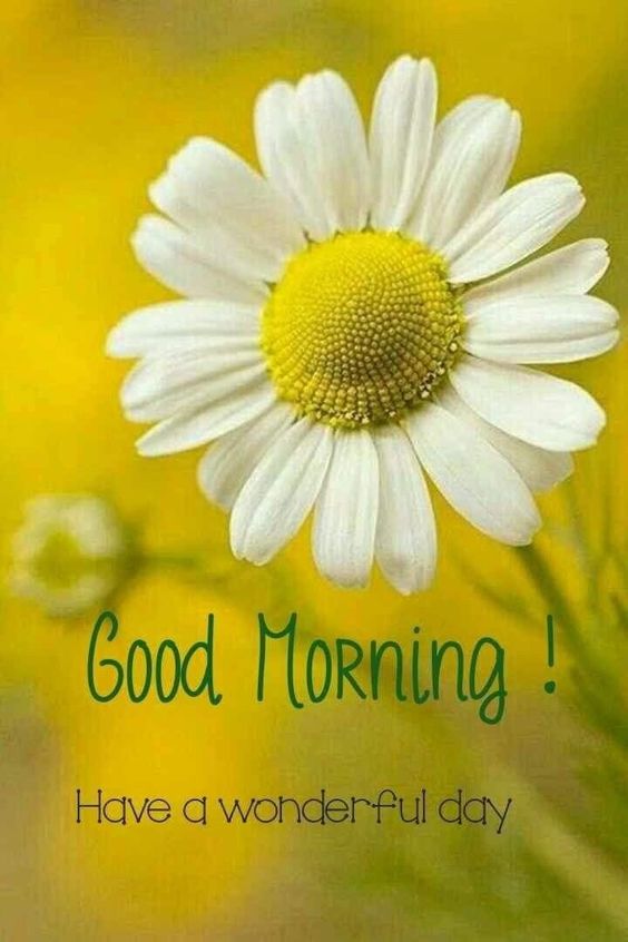 happy monday images happy monday images