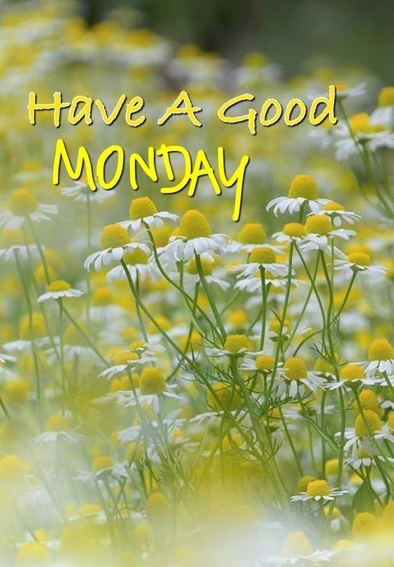 happy monday inspirational quotes and images happy monday inspirational quotes and images