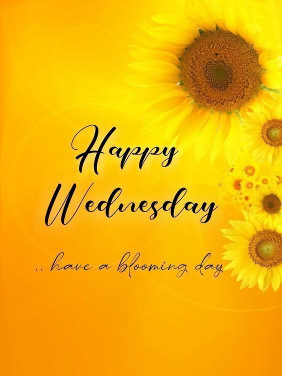 happy monday pics and quotes happy monday pics and quotes