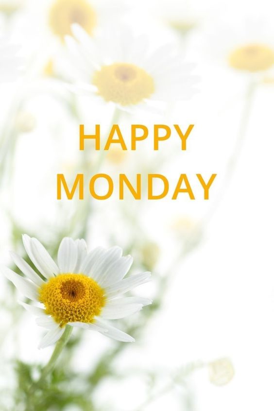 happy monday quotes for employees and images happy monday quotes for employees and images