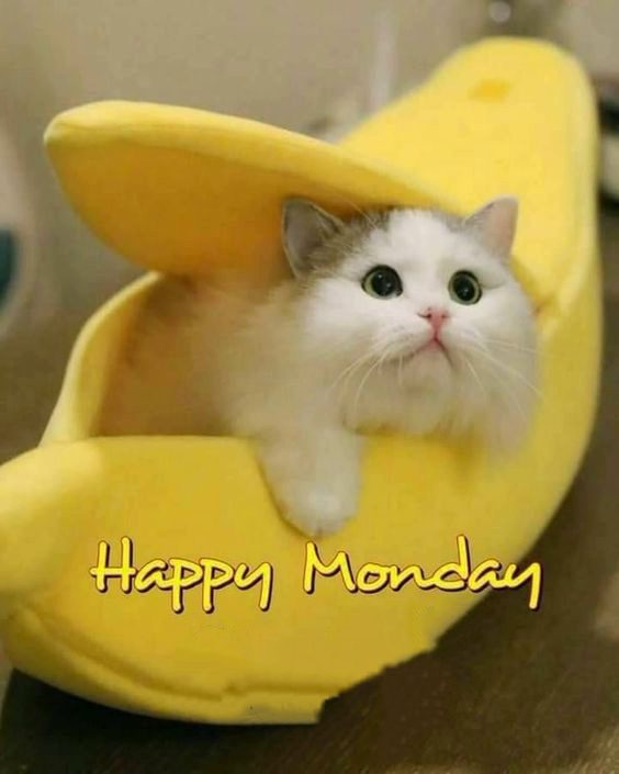 happy monday quotes for him and images happy monday quotes for him and images