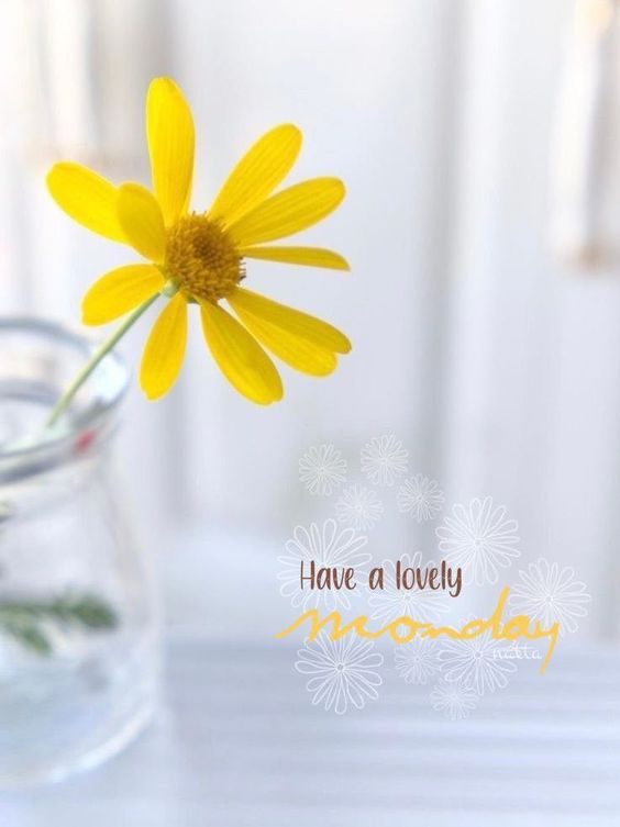 happy monday quotes funny and images happy monday quotes funny and images