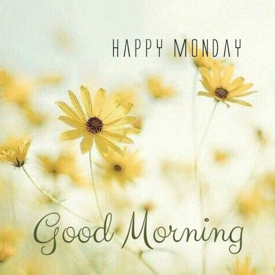 happy monday quotes to team and images happy monday quotes to team and images