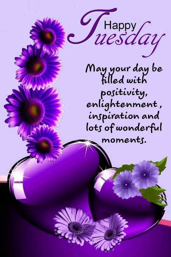 happy tuesday afternoon images and quotes happy tuesday afternoon images and quotes