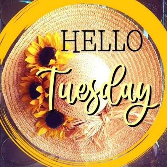 happy tuesday choose day images happy tuesday choose day images