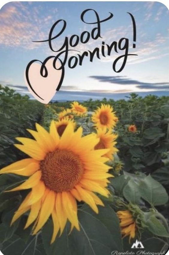 happy tuesday evening images happy tuesday evening images