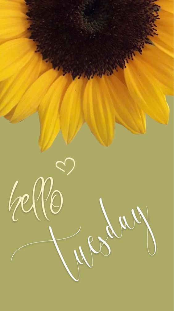happy tuesday god bless everyone images happy tuesday god bless everyone images