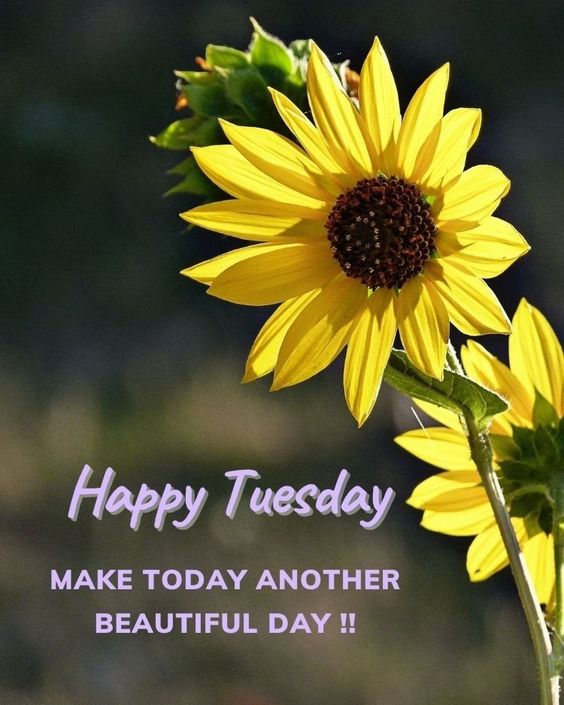 happy tuesday handsome images