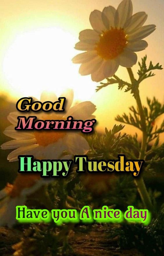 happy tuesday heart images