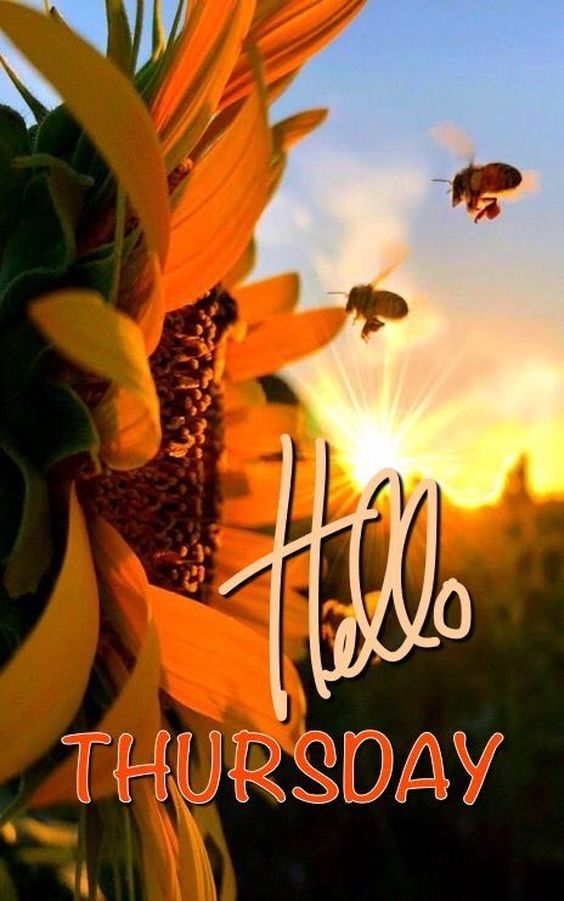 happy tuesday images blessings happy tuesday images blessings