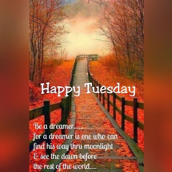 happy tuesday images cartoon happy tuesday images cartoon