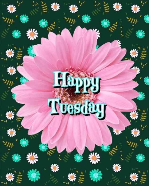happy tuesday images cute happy tuesday images cute