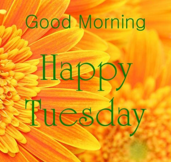 happy tuesday images flowers happy tuesday images flowers