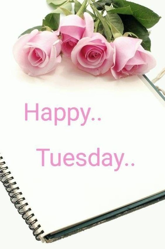 happy tuesday images funny 1 happy tuesday images funny 1