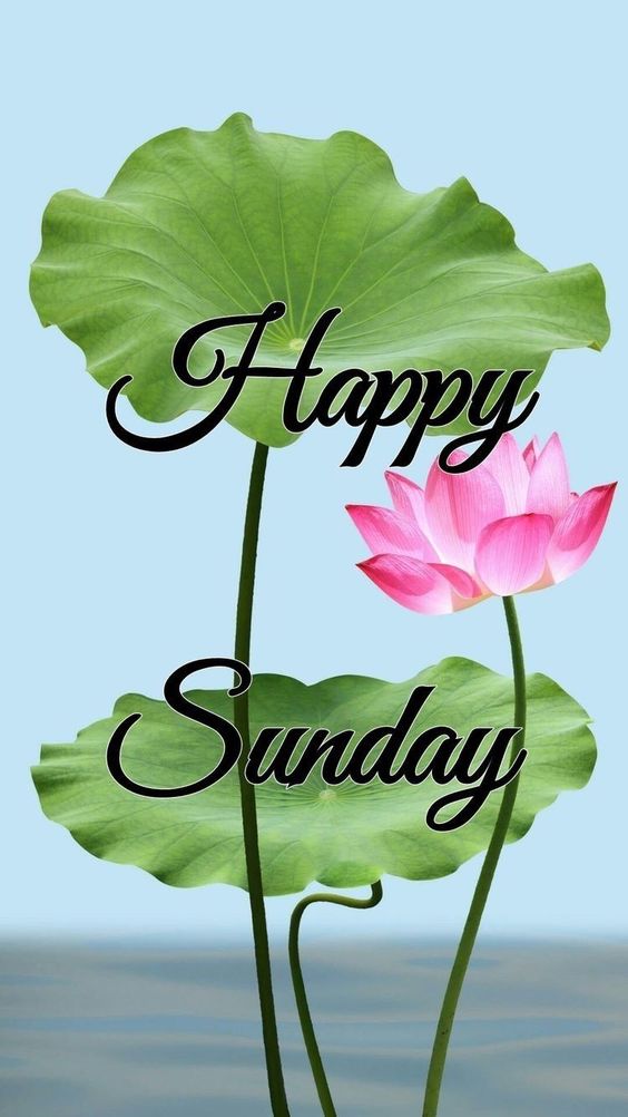 happy tuesday images funny gif happy tuesday images funny gif