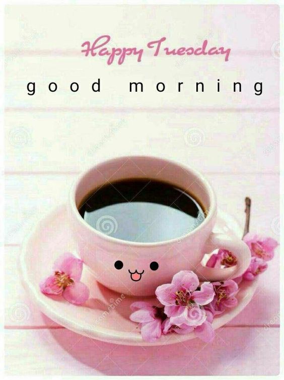 happy tuesday images gif funny happy tuesday images gif funny