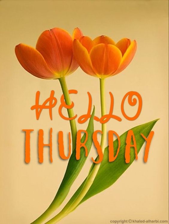 happy tuesday images gif good morning happy tuesday images gif good morning