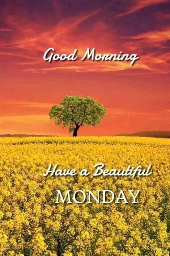 happy tuesday images gif happy tuesday images gif
