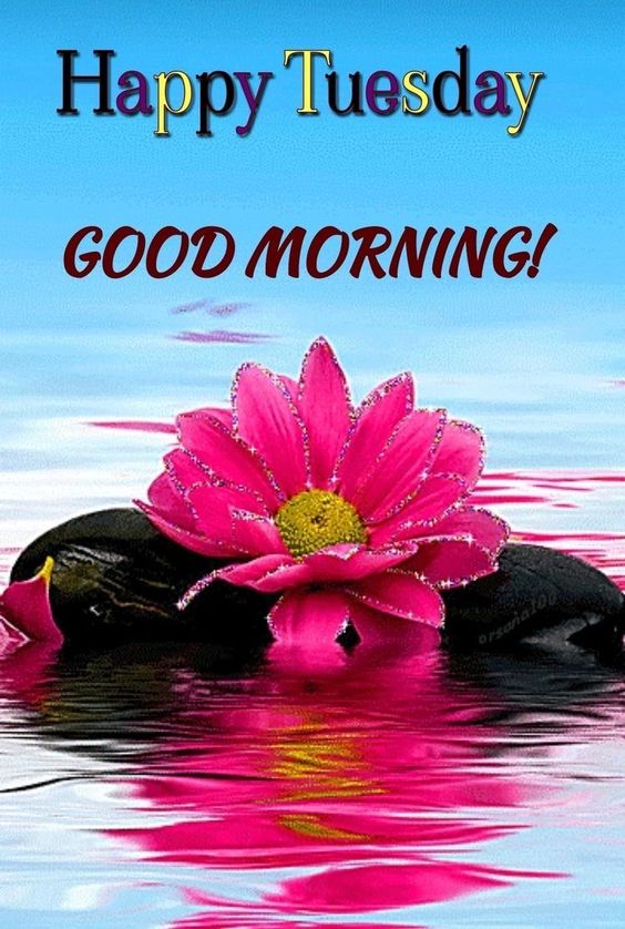 happy tuesday images good morning 1 happy tuesday images good morning 1