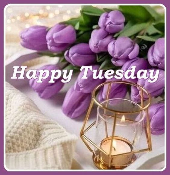 happy tuesday images good morning free happy tuesday images good morning free
