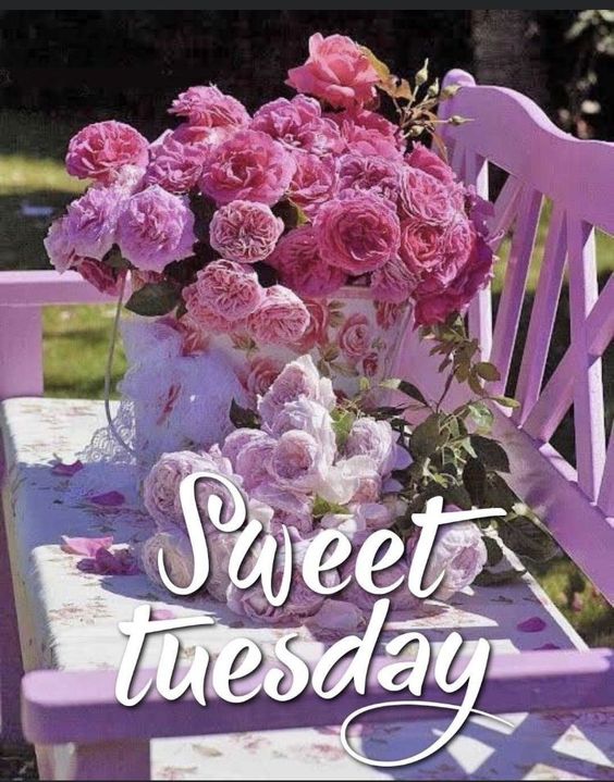 happy tuesday images hd happy tuesday images hd