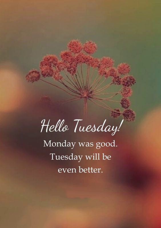 happy tuesday images hindi happy tuesday images hindi