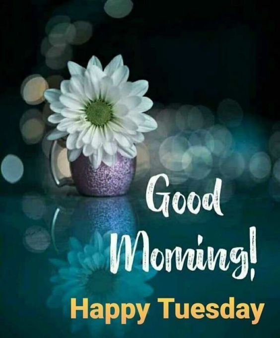 happy tuesday images holiday happy tuesday images holiday