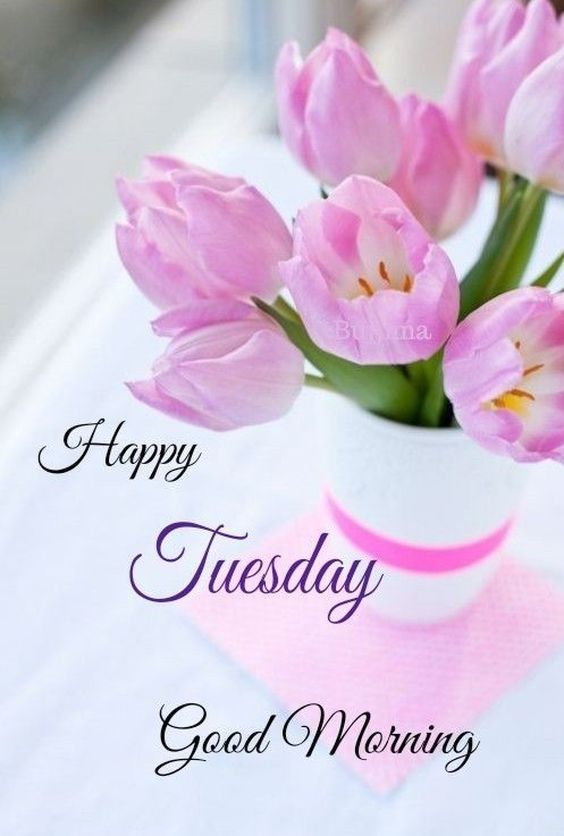 happy tuesday images in hindi happy tuesday images in hindi