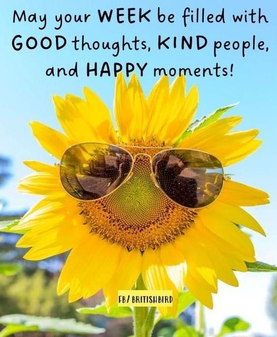 happy tuesday images in italian happy tuesday images in italian