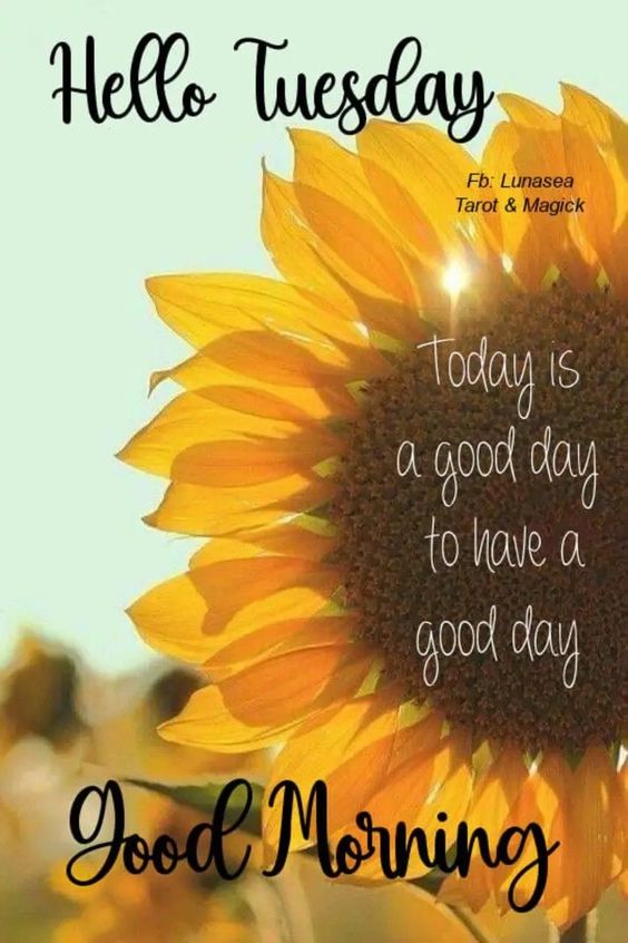 happy tuesday island images happy tuesday island images