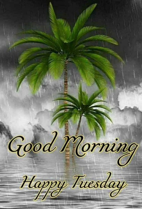 happy tuesday meaning happy tuesday meaning