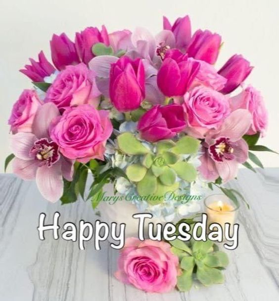happy tuesday morning quotes and images happy tuesday morning quotes and images