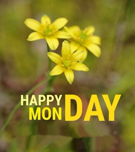 its monday quotes and images its monday quotes and images