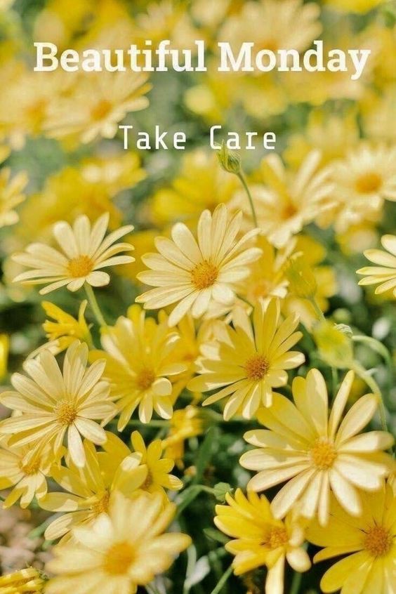 monday health quotes and images monday health quotes and images