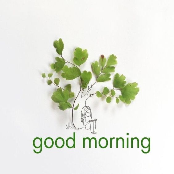 monday quotes and images funny monday quotes and images funny