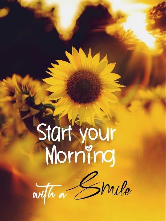 tuesday happy quotes and images tuesday happy quotes and images
