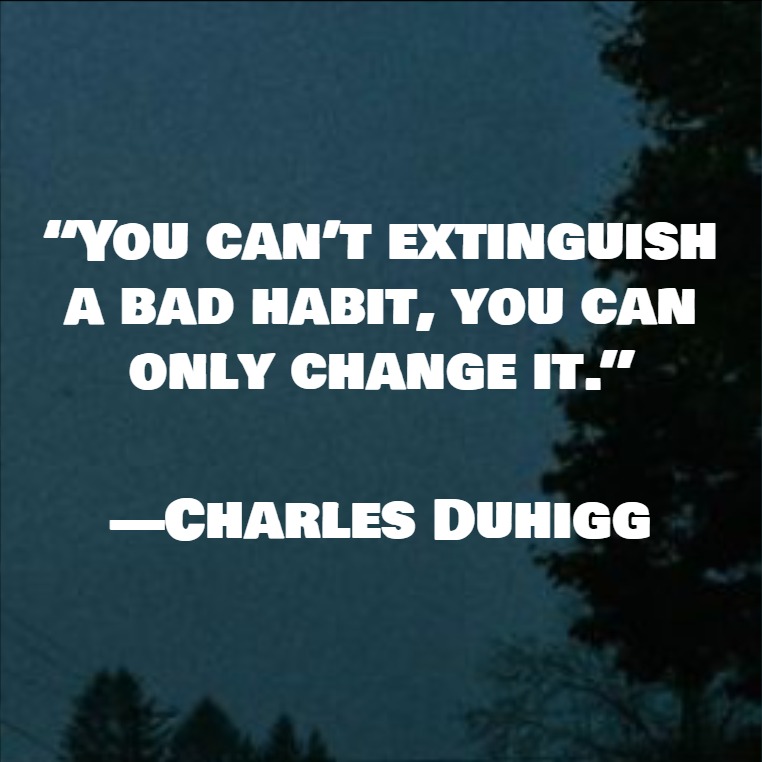 Habit Formation Quotes Habit Formation Quotes